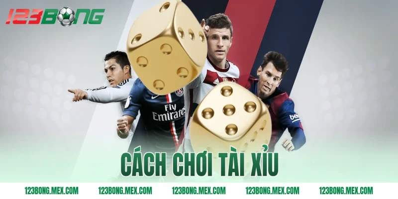 cách chơi tài xỉu