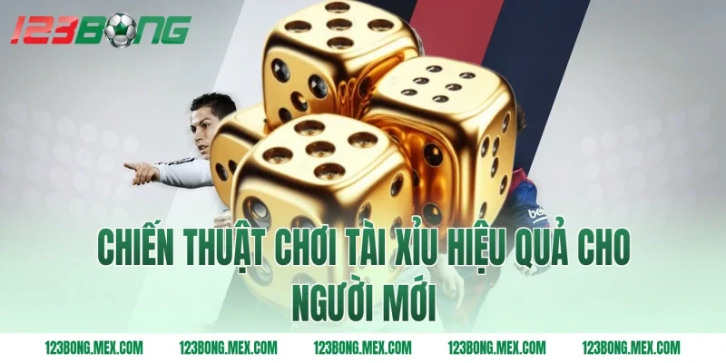 Chiến Thuật Chơi Tài Xỉu Hiệu Quả Cho Người Mới