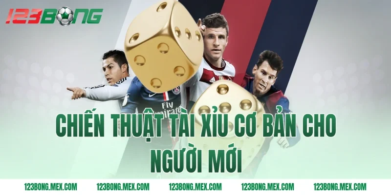 Chiến thuật tài xỉu cơ bản cho người mới