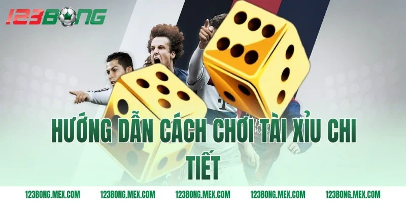 Hướng dẫn cách chơi tài xỉu chi tiết