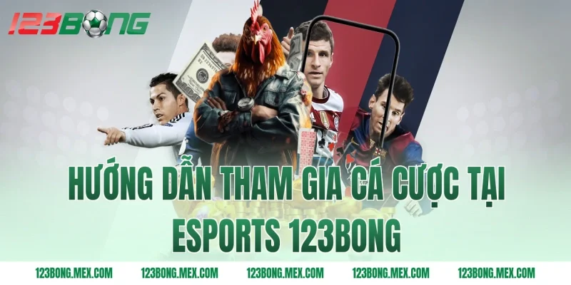 Hướng dẫn tham gia cá cược tại ESports 123BONG