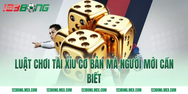 Luật Chơi Tài Xỉu Cơ Bản Mà Người Mới Cần Biết
