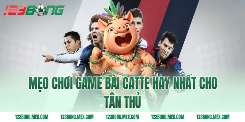 Mẹo chơi game bài catte hay nhất cho tân thủ