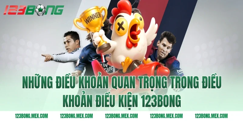 Những điều khoản quan trọng trong điều khoản điều kiện 123BONG