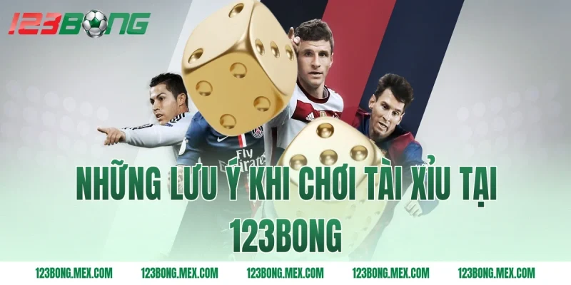 Những Lưu Ý Khi Chơi Tài Xỉu Tại 123bong